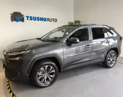 TOYOTA RAV4 2.5 VVT-IE HYBRID SX CONNECT AWD CVT TOYOTA RAV4 2.5 VVT-IE HYBRID SX CONNECT AWD CVT