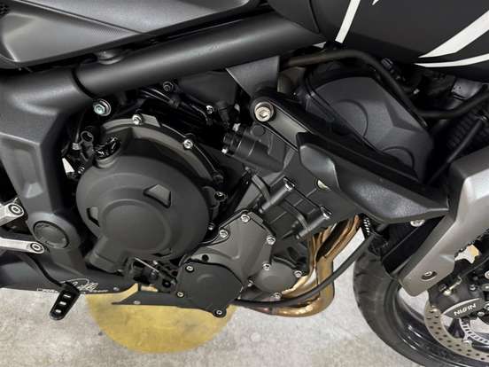 TRIUMPH-TRIDENT 660 TRIUMPH-TRIDENT 660-2023