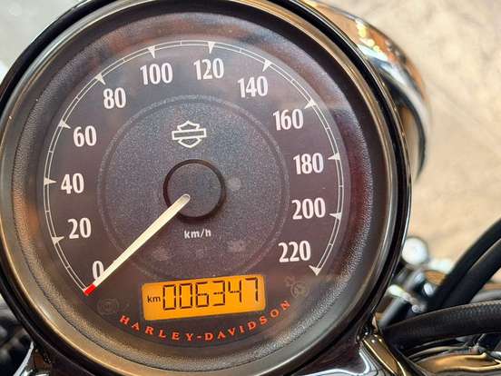 HARLEY-DAVIDSON-SPORTSTER FORTY-EIGHT 115TH ANNIVERSARY HARLEY-DAVIDSON-SPORTSTER FORTY-EIGHT 115TH ANNIVERSARY-2018