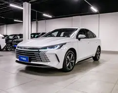 BYD KING 1.5 DM-I PHEV GS AUTOMÁTICO BYD KING 1.5 DM-I PHEV GS AUTOMÁTICO