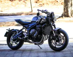 TRIUMPH TRIDENT 660 TRIUMPH TRIDENT 660