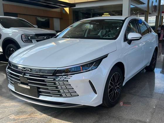 BYD DOLPHIN 44,9 KW ELÉTRICO GS