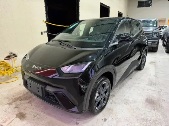 BYD DOLPHIN MINI 38 KW ELÉTRICO GL