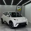 BYD DOLPHIN MINI 38 KW ELÉTRICO GS BYD DOLPHIN MINI 38 KW ELÉTRICO GS