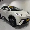 BYD DOLPHIN MINI 38 KW ELÉTRICO GS BYD DOLPHIN MINI 38 KW ELÉTRICO GS
