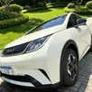 BYD DOLPHIN 44,9 KW ELÉTRICO BYD DOLPHIN 44,9 KW ELÉTRICO