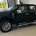 FORD F-150 5.0 V8 GASOLINA CD LARIAT FX4 AUTOMÁTICO FORD F-150 5.0 V8 GASOLINA CD LARIAT FX4 AUTOMÁTICO