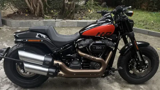 HARLEY-DAVIDSON SOFTAIL FAT BOB 114 