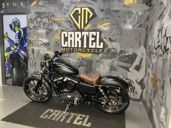 HARLEY-DAVIDSON-SPORTSTER IRON 883-2016