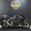 HONDA CB 500 HORNET HONDA CB 500 HORNET