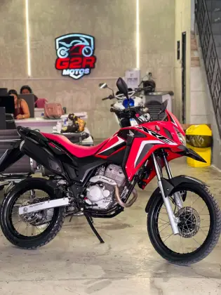 HONDA XRE 300 RALLY 