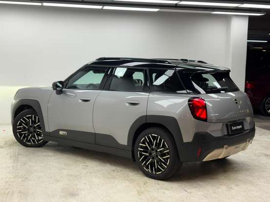 MINI-ACEMAN-2024