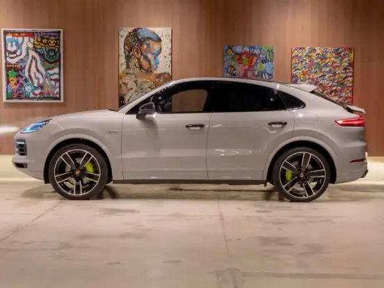 PORSCHE-CAYENNE-3.0 V6 E-HYBRID COUPÉ PLATINUM EDITION AWD TIPTRONIC S PORSCHE-CAYENNE-2022