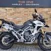 TRIUMPH TIGER 1200 RALLY EXPLORER TRIUMPH TIGER 1200 RALLY EXPLORER