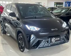 BYD DOLPHIN MINI 38 KW ELÉTRICO GL BYD DOLPHIN MINI 38 KW ELÉTRICO GL