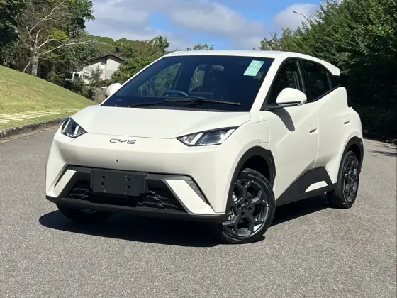 BYD DOLPHIN MINI 38 KW ELÉTRICO GS
