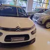 CITROËN C4 CACTUS 1.6 VTI 120 FLEX LIVE EAT6 CITROËN C4 CACTUS 1.6 VTI 120 FLEX LIVE EAT6