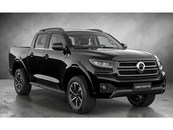 GWM-POER P30-2026