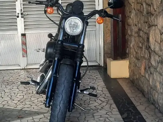HARLEY-DAVIDSON-SPORTSTER IRON 883 HARLEY-DAVIDSON-SPORTSTER IRON 883-2010