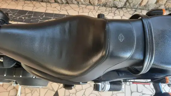 HARLEY-DAVIDSON-SPORTSTER IRON 883-2010
