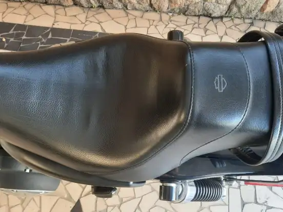 HARLEY-DAVIDSON-SPORTSTER IRON 883 HARLEY-DAVIDSON-SPORTSTER IRON 883-2010