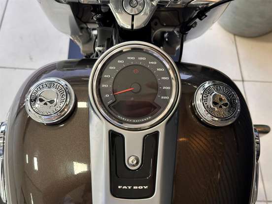 HARLEY-DAVIDSON-FAT BOY SCREAMIN EAGLE-2006