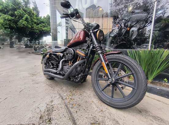 HARLEY-DAVIDSON-SPORTSTER IRON 1200-2019