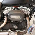 HARLEY-DAVIDSON SPORTSTER XL 883 CUSTOM HARLEY-DAVIDSON SPORTSTER XL 883 CUSTOM