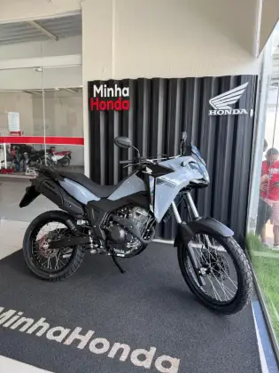 HONDA XRE 300 SAHARA 