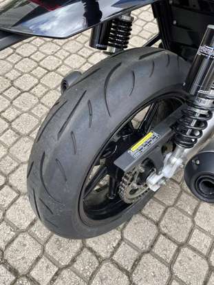 TRIUMPH-SPEED TWIN-2025