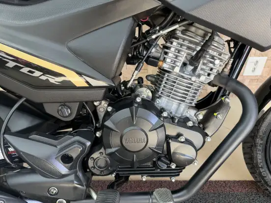 YAMAHA-FACTOR YBR 150 ED-2024