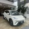 BYD DOLPHIN MINI 38 KW ELÉTRICO GL BYD DOLPHIN MINI 38 KW ELÉTRICO GL