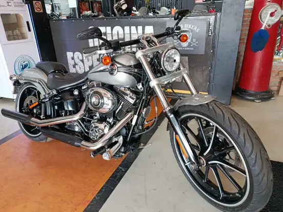 HARLEY-DAVIDSON-SOFTAIL BREAKOUT HARLEY-DAVIDSON-SOFTAIL BREAKOUT-2015