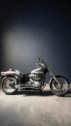 HARLEY-DAVIDSON-SOFTAIL STANDARD-2007