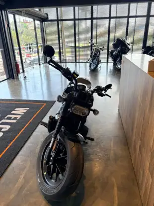 HARLEY-DAVIDSON-SPORTSTER S-2025