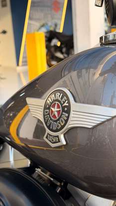HARLEY-DAVIDSON-SOFTAIL FAT BOY SPECIAL-2015