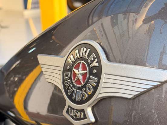 HARLEY-DAVIDSON-SOFTAIL FAT BOY SPECIAL HARLEY-DAVIDSON-SOFTAIL FAT BOY SPECIAL-2015