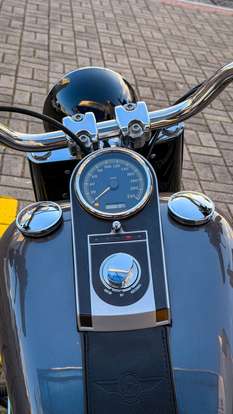 HARLEY-DAVIDSON-SOFTAIL FAT BOY SPECIAL-2015
