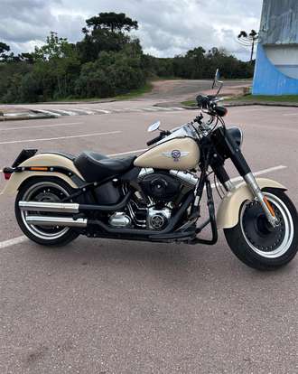 HARLEY-DAVIDSON-SOFTAIL FAT BOY SPECIAL HARLEY-DAVIDSON-SOFTAIL FAT BOY SPECIAL-2015