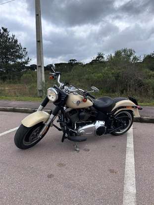 HARLEY-DAVIDSON-SOFTAIL FAT BOY SPECIAL HARLEY-DAVIDSON-SOFTAIL FAT BOY SPECIAL-2015