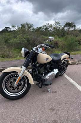 HARLEY-DAVIDSON-SOFTAIL FAT BOY SPECIAL HARLEY-DAVIDSON-SOFTAIL FAT BOY SPECIAL-2015