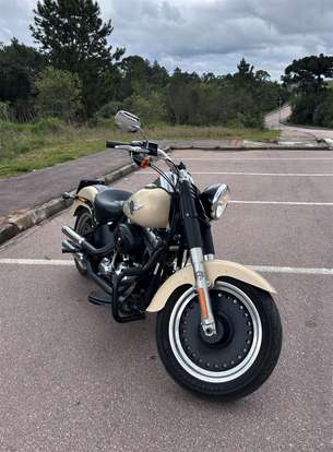 HARLEY-DAVIDSON-SOFTAIL FAT BOY SPECIAL HARLEY-DAVIDSON-SOFTAIL FAT BOY SPECIAL-2015