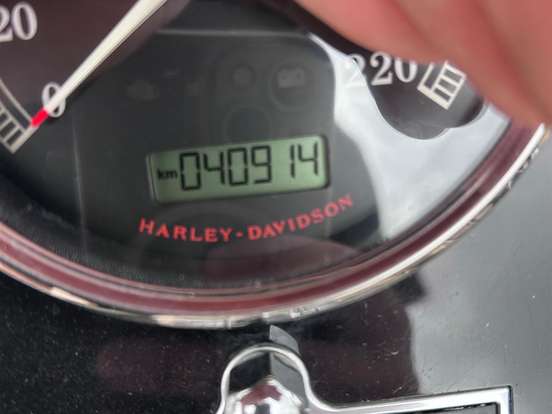 HARLEY-DAVIDSON-SOFTAIL FAT BOY SPECIAL HARLEY-DAVIDSON-SOFTAIL FAT BOY SPECIAL-2015