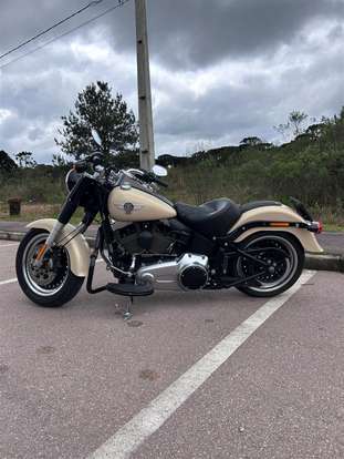 HARLEY-DAVIDSON-SOFTAIL FAT BOY SPECIAL-2015