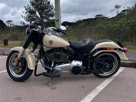 HARLEY-DAVIDSON-SOFTAIL FAT BOY SPECIAL HARLEY-DAVIDSON-SOFTAIL FAT BOY SPECIAL-2015