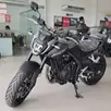HONDA CB 500 HORNET HONDA CB 500 HORNET