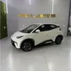 BYD DOLPHIN MINI 38 KW ELÉTRICO GL BYD DOLPHIN MINI 38 KW ELÉTRICO GL