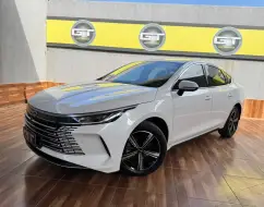 BYD KING 1.5 DM-I PHEV GS AUTOMÁTICO BYD KING 1.5 DM-I PHEV GS AUTOMÁTICO