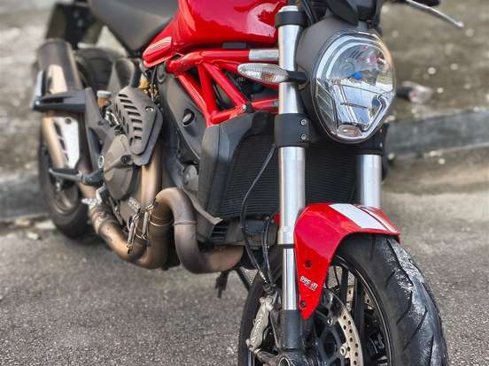 DUCATI-MONSTER 821 DUCATI-MONSTER 821-2015