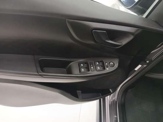 FIAT-PULSE-2025